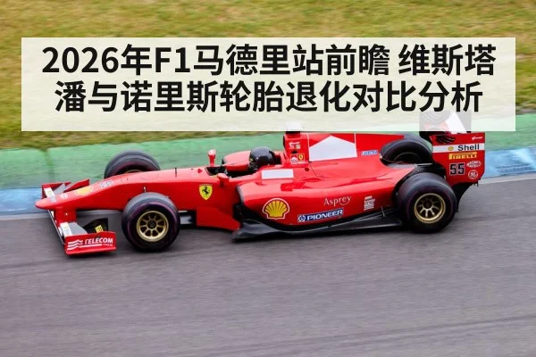 2026年F1马德里站前瞻 维斯塔潘与诺里斯轮胎退化对比分析 | jiuyou game